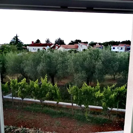 Διαμέρισμα Jane