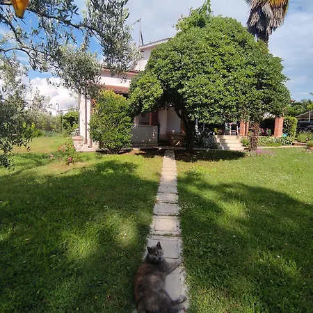 Jane Appartement Poreč