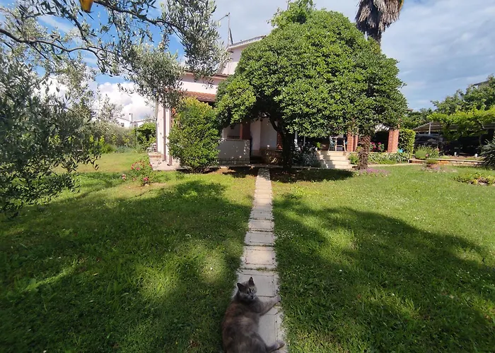 Jane Apartman Poreč